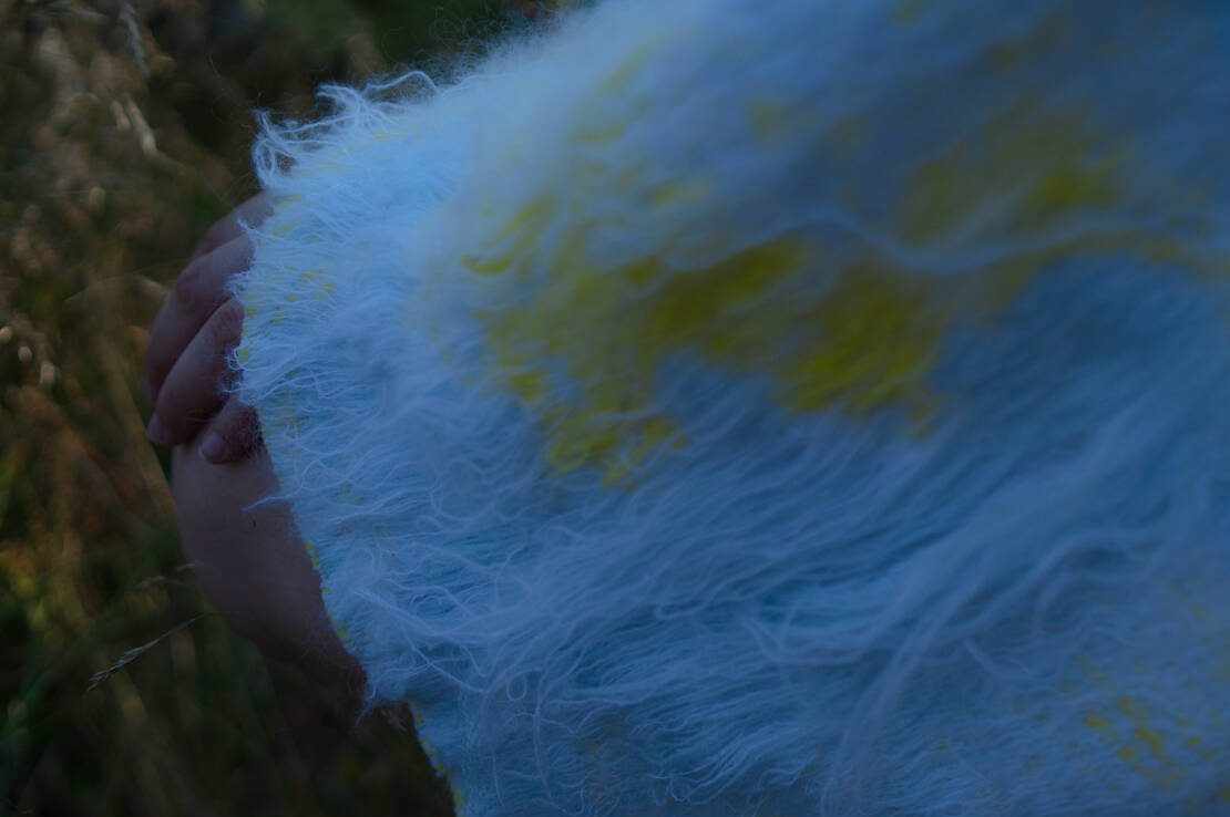 SENSIBLE CREATURES (2019) – Maija Järviniemi