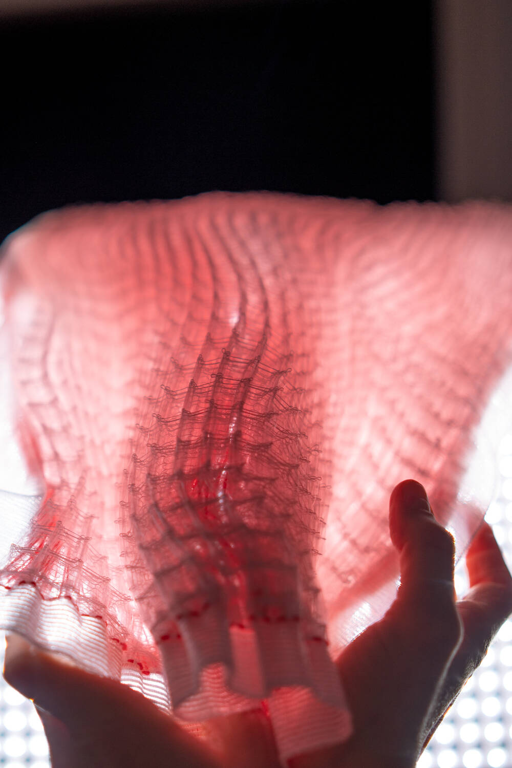 SENSIBLE CREATURES (2019) – Maija Järviniemi